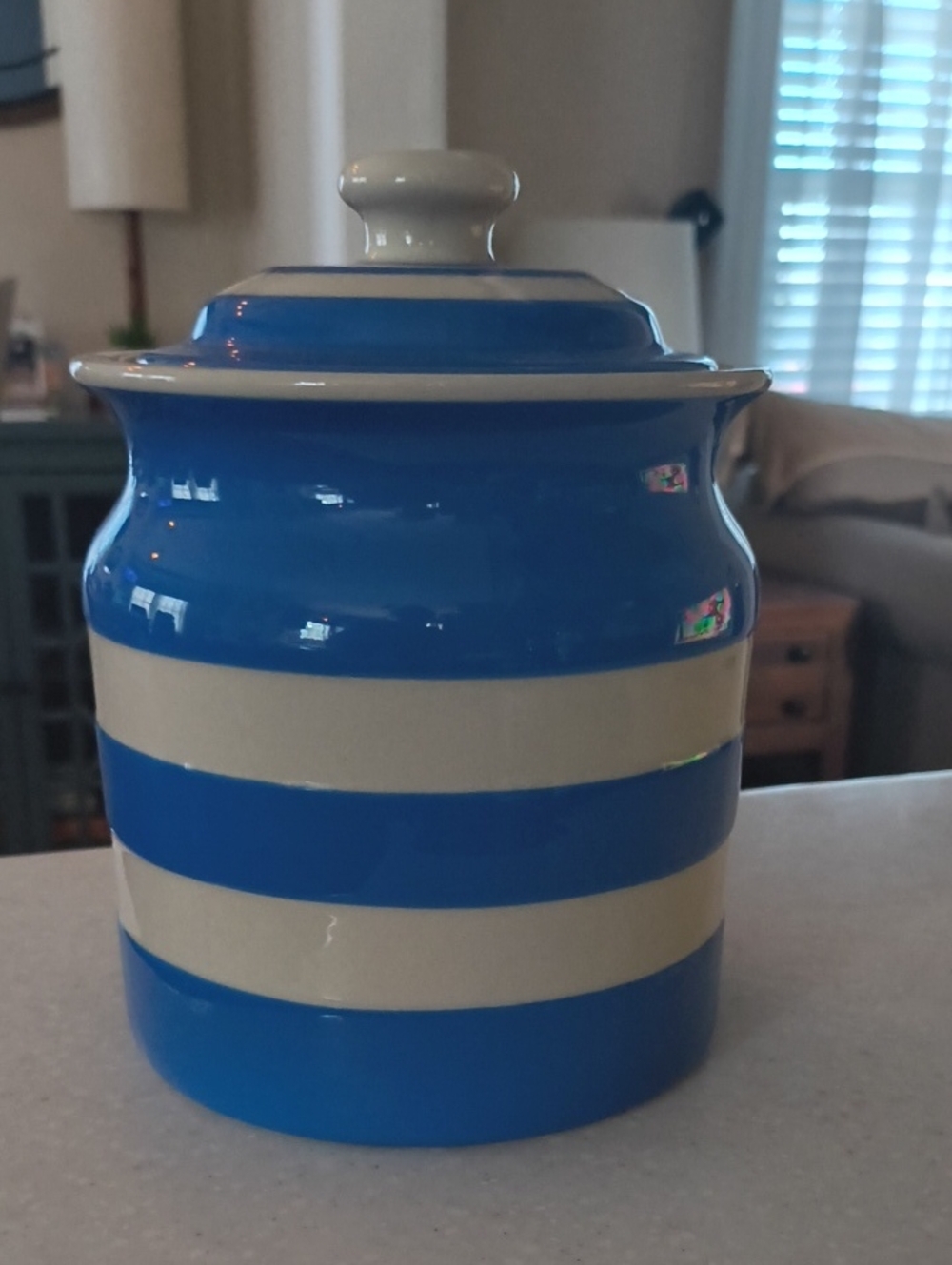 TG Green Blue Striped Canister